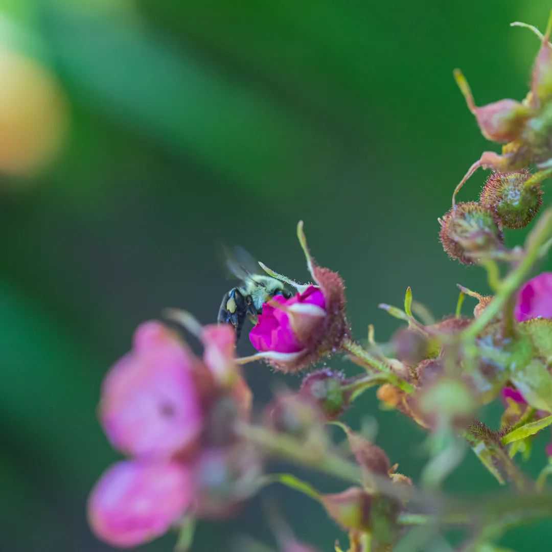 Lost in Life - Featured image